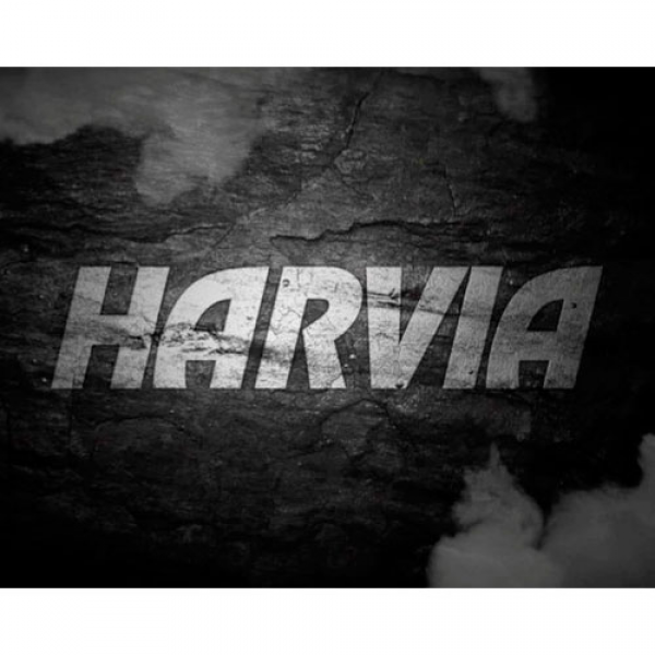 harvia-spb | Дровяная печь Harvia Ville Haapasalo 240 DUO (21 кВт) 
